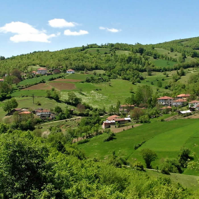 Asarcık