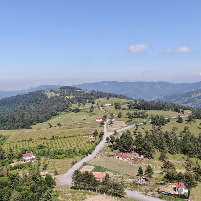 Yakakent Yaylaları