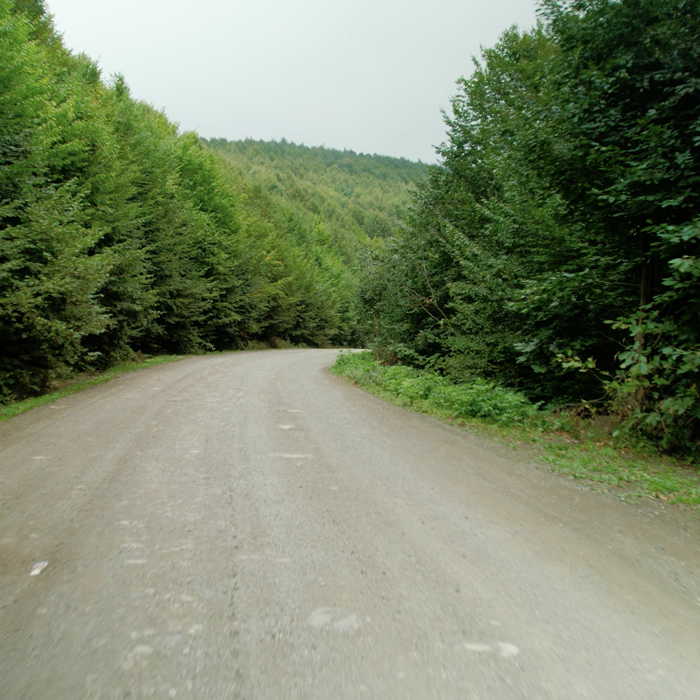 Kocadağ