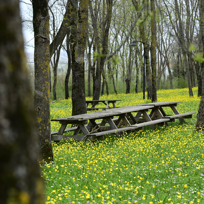 Sarıgazel Tabiat Parkı