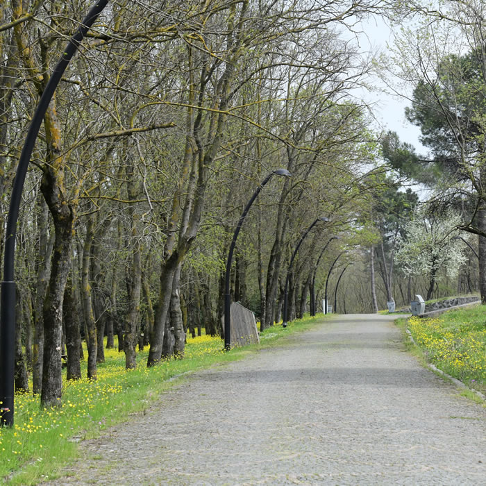 Sarıgazel Tabiat Parkı