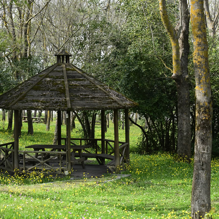 Sarıgazel Tabiat Parkı