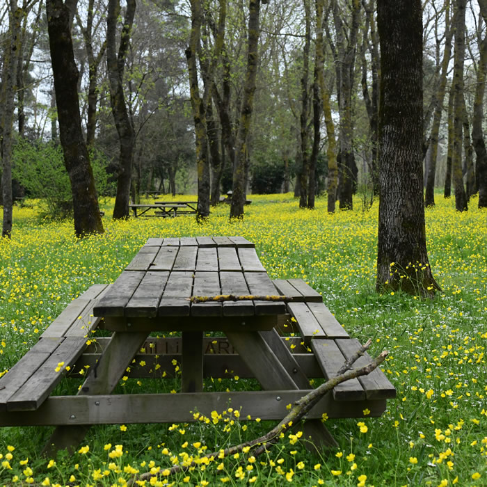 Sarıgazel Tabiat Parkı