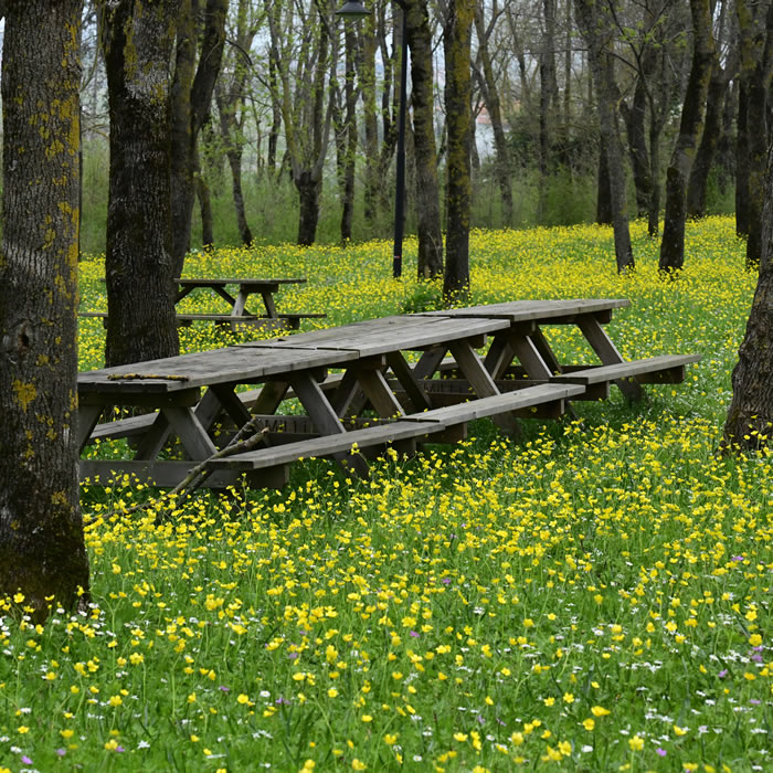 Sarıgazel Tabiat Parkı
