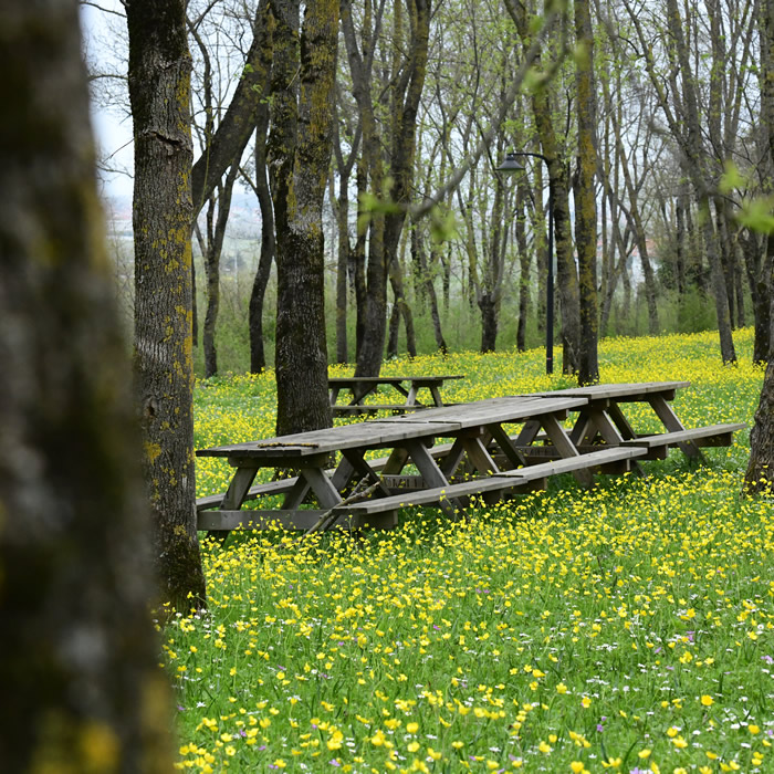 Sarıgazel Tabiat Parkı