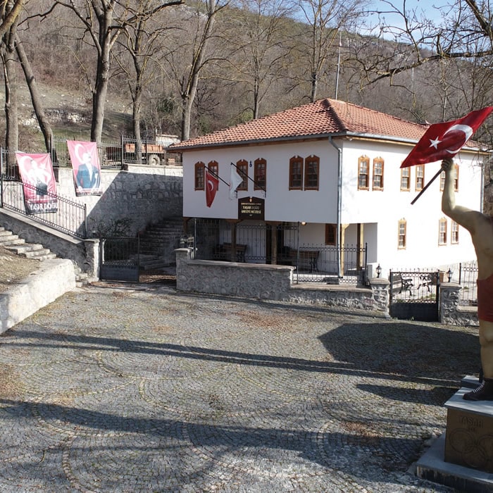 Kavak