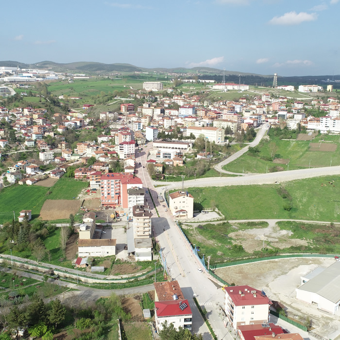 Kavak